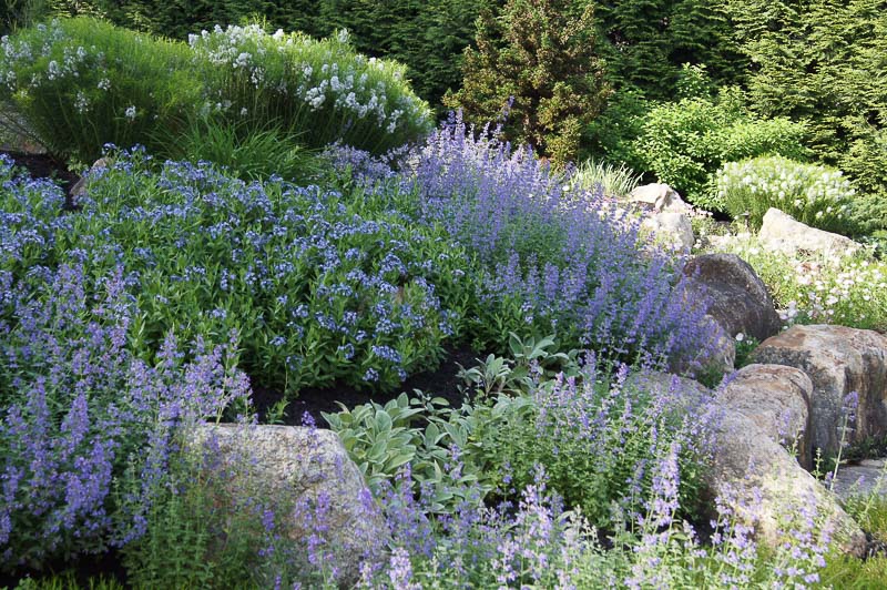 Chester Springs Landscaping