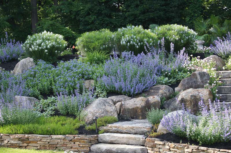 Chester Springs Walkway &amp; Patio