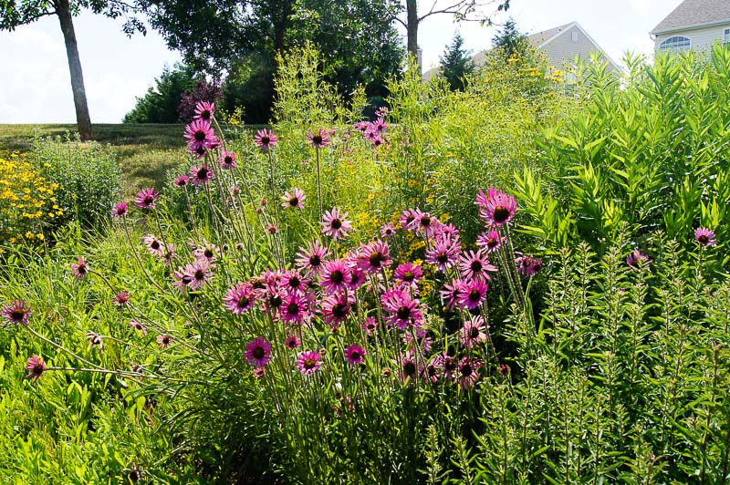Pennsylvania Patios & Landscaping
