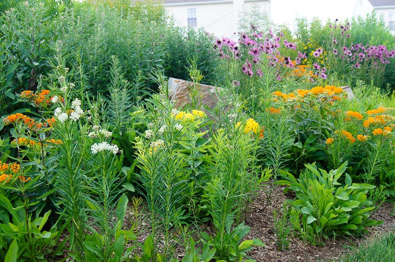 Pennsylvania Patios & Landscaping