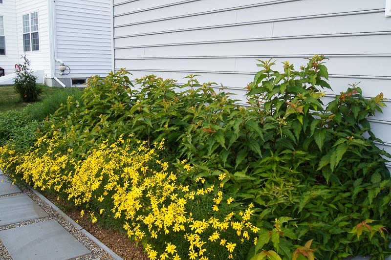 Pennsylvania Patios & Landscaping
