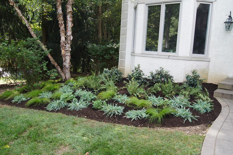 Downingtown Landscaping Replacement