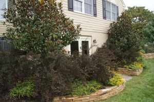 chester-county-landscaper_301