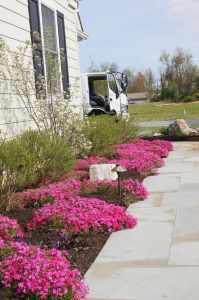 chester-county-landscaper_309