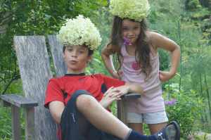 chester-county-landscaper_310