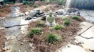 chester-county-landscaper_317