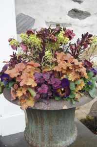 chester-county-landscaper_323