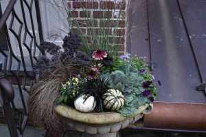 chester-county-landscaper_326