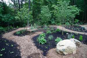 chester-county-landscaper_408