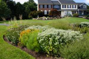 chester-county-landscaper_415