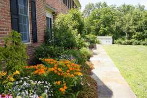 chester-county-landscaper_424