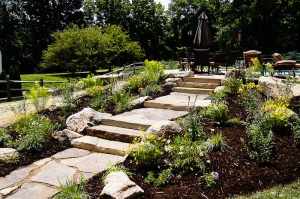 chester-county-landscaper_427
