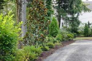 chester-county-landscaper_428