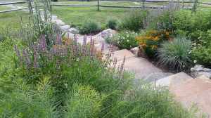 chester-county-landscaper_434