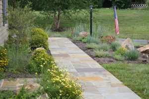chester-county-landscaper_435