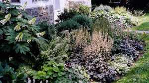 chester-county-landscaper_441