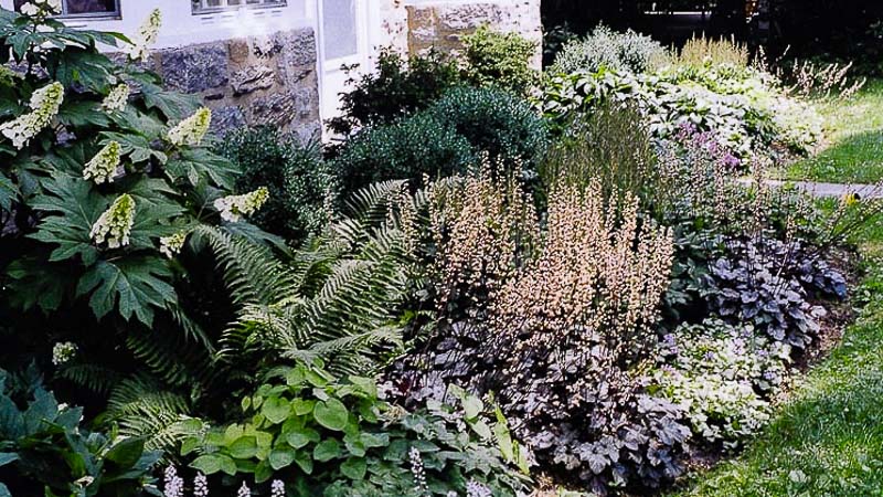 Landscape Installation