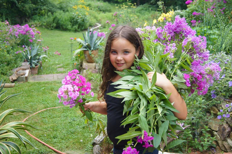 Landscape Maintenance