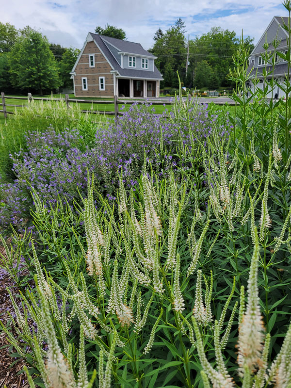 KM Gardens Landscaping