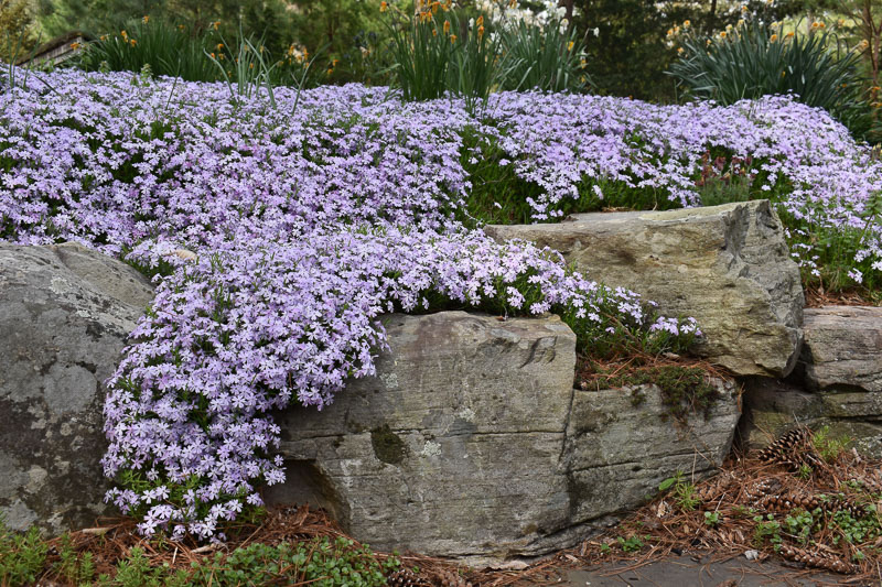 KM Gardens Landscaping
