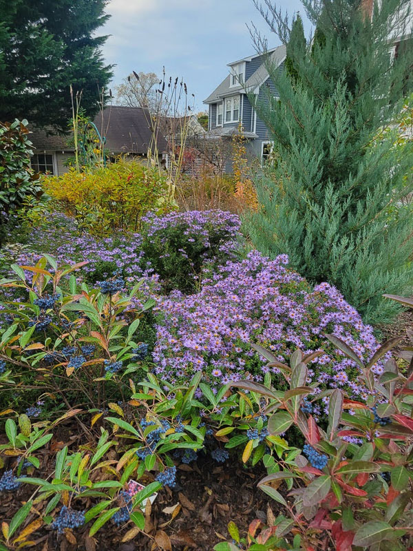 KM Gardens Landscaping