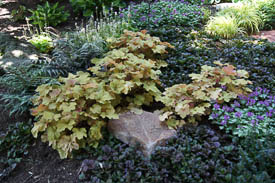 Chester County Landscaper