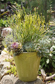 Chester County Landscaper